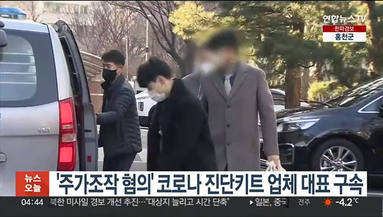 '주가조작 혐의' 코로나 진단키트 업체 대표 구속