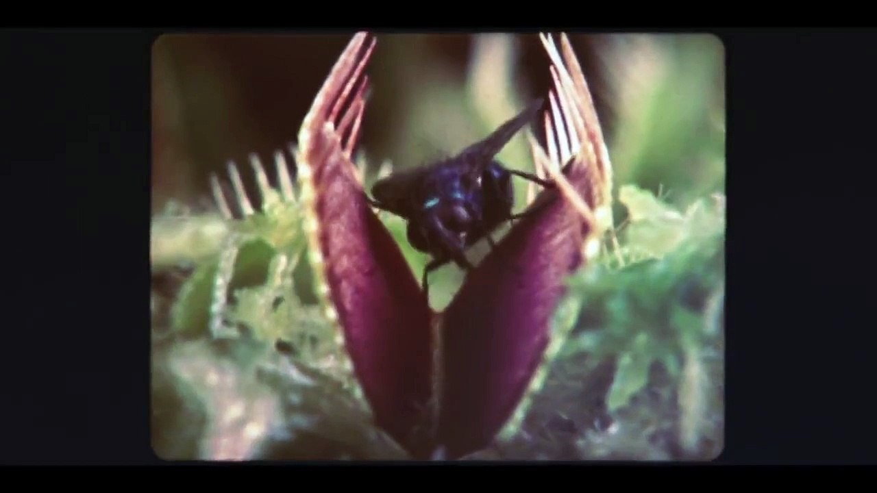 How to Sell Drugs Online (Fast) - Se1 - Ep03 - Failure is Not An Option HD Watch HD Deutsch