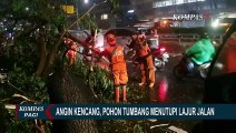 Pohon Tumbang di Jalan Gatot Soebroto Jakarta Selatan Akibat Hujan Deras dan Angin Kencang