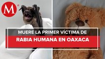 En Oaxaca, murió menor de 7 años por presunta rabia tras ser mordido por animal