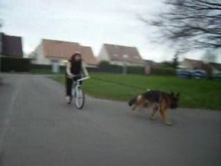 CANI VTT - vidéo 18 mars 08 012
