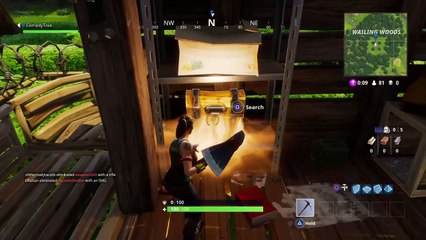 Classic Fortnite Gameplay: Getting 2nd place in Fortnite Battle Royale Season 1