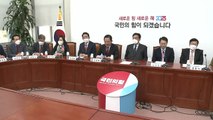與, 野에 '북한 무인기 도발 규탄' 국회 결의안 제안 / YTN