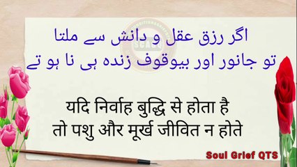 Hazrat Ali k femas Aqwal. حضرت علی علیہ السّلام کا۔فرمان-8