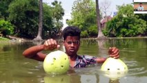 Amazing fish trapping method | boy build fishing trap with bitter gourd in village pond 
