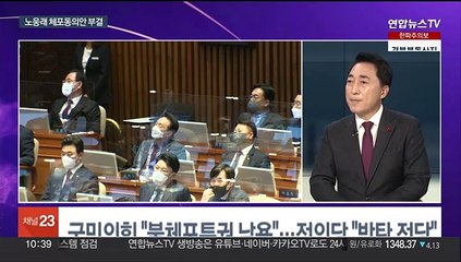 [뉴스포커스] 노웅래 체포안 부결…"예행연습 vs "자기 정치"
