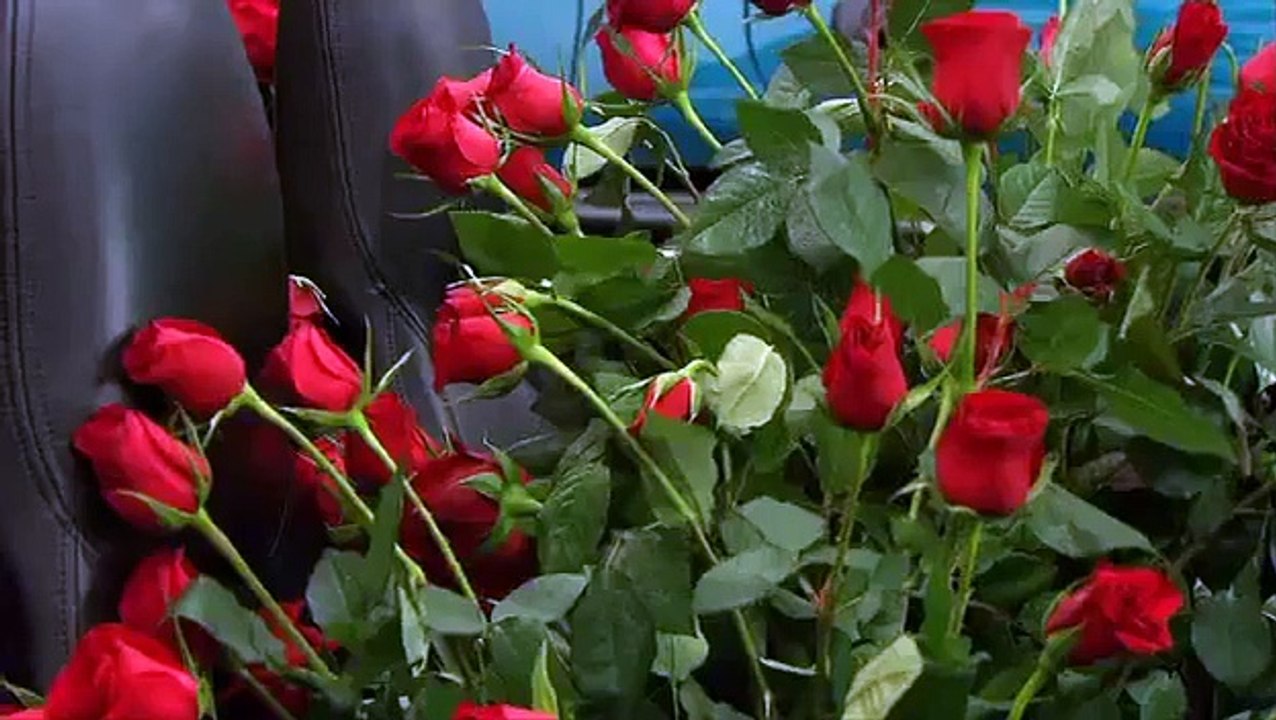 All Saints - Se6 - Ep42 HD Watch HD Deutsch