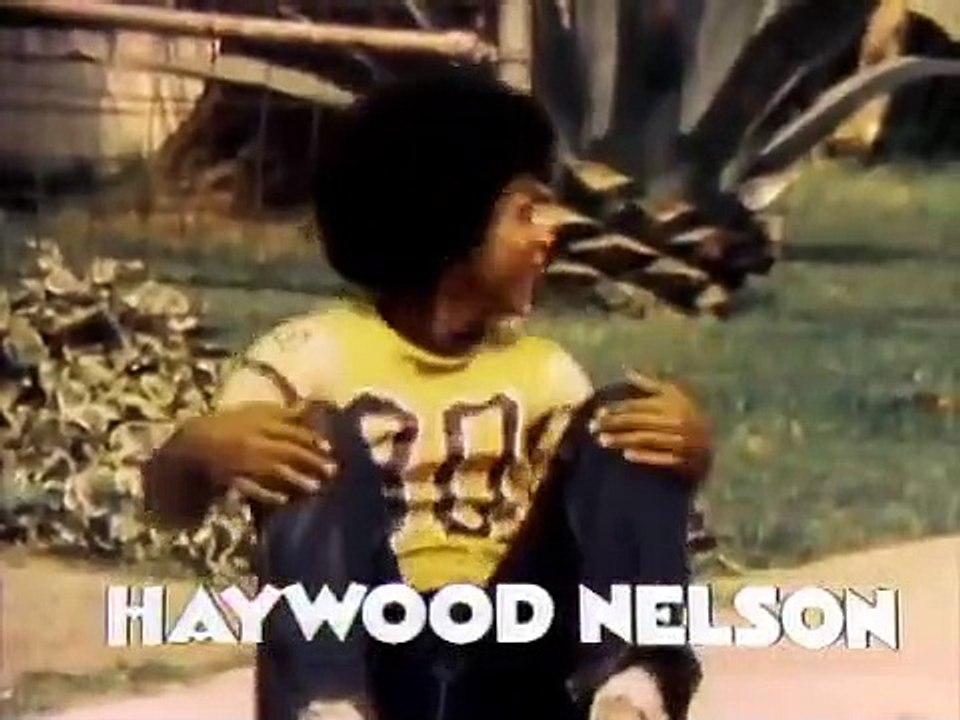 Whats Happening - Se1 - Ep18 -The Tickets HD Watch HD Deutsch