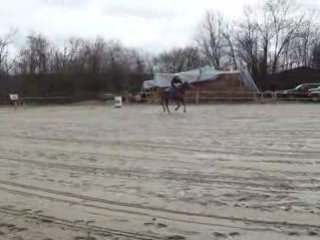 barrel racing du 16mars