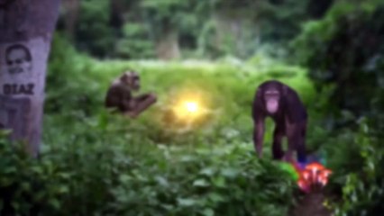 Jon Bernthal Reflects on Interviewing Shia Labeouf