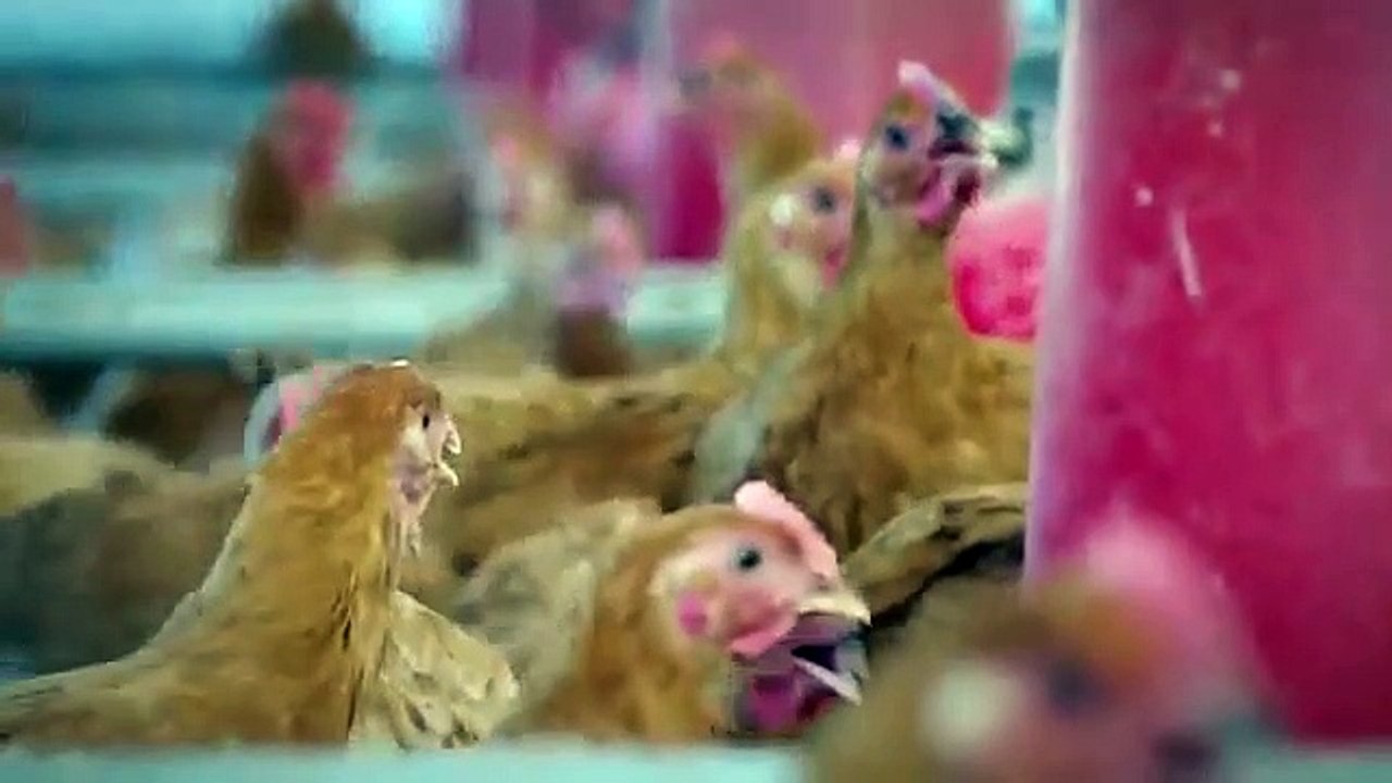 Ugly Delicious - Se1 - Ep06 - Fried Chicken HD Watch HD Deutsch