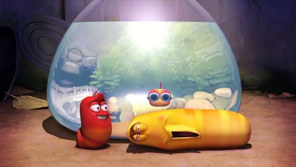 Larva - Volume 1 - Ep12 - Aquarium HD Watch HD Deutsch
