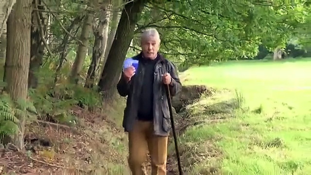 Witless - Se3 - Ep02 HD Watch HD Deutsch