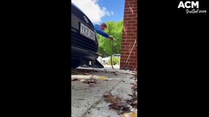 Snake pick ups | The Canberra Times | December 2022