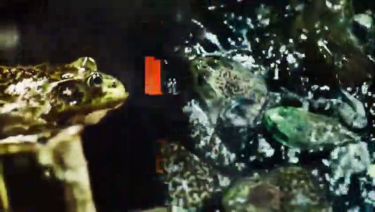 3% - Se2 - Ep07 - Chapter 15 - Prints HD Watch HD Deutsch