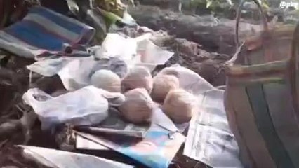 দঃ ২৪ পরগনা: আবারও উদ্ধার তাজা বোমা, চাঞ্চল্য এলাকায়