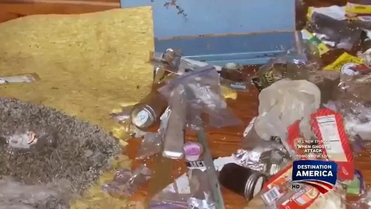 Buying Alaska - Se2 - Ep19 HD Watch HD Deutsch