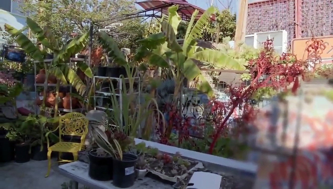 Bong Appetit - Se2 - Ep02 - South Central Cannabis Cuisine HD Watch HD Deutsch