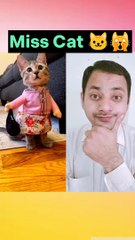 Miss Cat #shorts #viral #youtubeshorts #ytshorts
