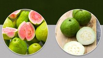 Red vs White Guava: लाल या सफेद अमरूद, सेहत के लिए कौन सा है ज्यादा फायदेमंद?। Boldsky *Health