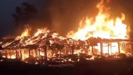 পূর্ব বর্ধমান: ভয়াবহ আগুন! জ্বলছে ২৫০০ মুরগী ছানা