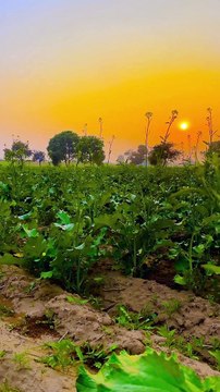 2The bakwas tag, The bakwas motivational, The motivational video, Comedy video, Funny jokes video, Song, American comedy, Indian comedy, Comedy, Facebook statusWhatsApp WhatsApp, , All status Instagram status, Bhakti song, Comedian song, New musical song