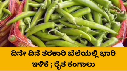 ಮೈಸೂರು: ಇಳಿಕೆಯತ್ತ ಸಾಗಿದ ತರಕಾರಿ ಧಾರಣೆ: ರೈತರಿಗೆ ಭಾರೀ ನಿರಾಸೆ!
