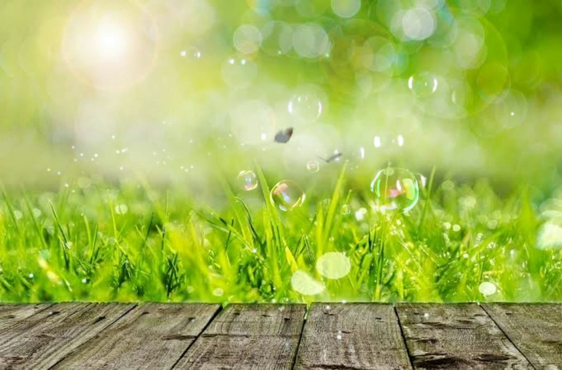- Video background