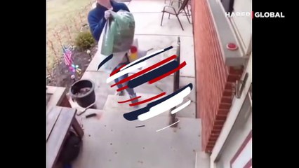 Ev sahibine kurabiye getiren sevimli sincap viral oldu