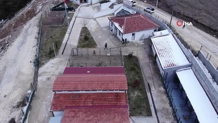 Evcil hayvan sahipleri dikkat: Son 2 gün