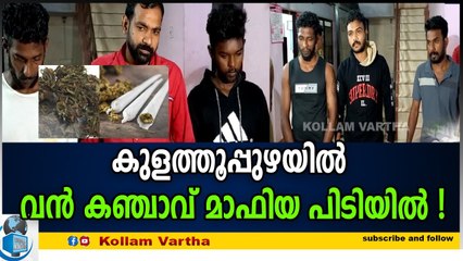 രണ്ട് കിലോ കഞ്ചാവുമായി കുളത്തൂപ്പുഴ സ്വദേശികളടക്കം 6 യുവാക്കൾ അറസ്റ്റിൽ