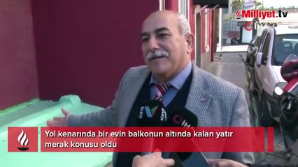 Şehrin ortasında gizemli yatır: Kim olduğunu bilmeden dua ediyorlar