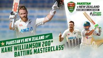 Kane Williamson 200* Batting Masterclass | Pakistan vs New Zealand | 1st Test Day 4 | PCB | MZ2L