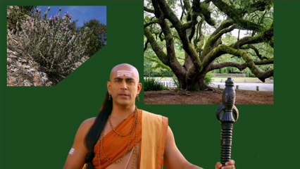 चाणक्य ने राजा को  बीज, तो प्रजा को माटी क्युं कहा...| chanakya Niti 2| चाणक्य नीति|