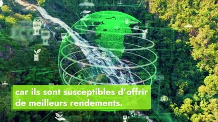 Investir de manière durable est le "seul moyen d'assurer la rentabilité à long terme"