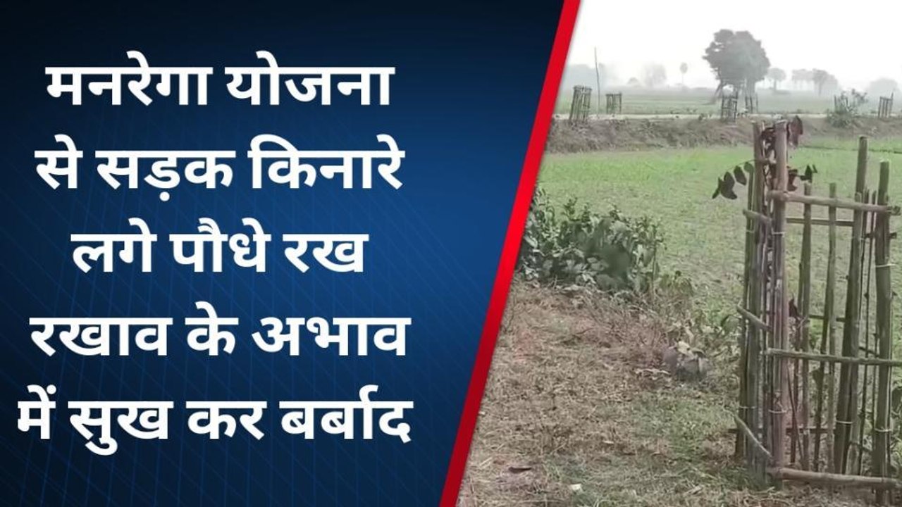 कटिहार: लाखों खर्च के बावजूद ना हरियाली मिली न...
