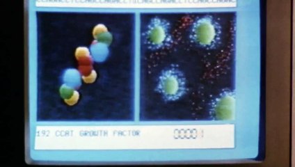 La Malédiction des rats Bande-annonce (EN)