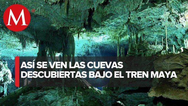 Conacyt presenta Manifestación de Impacto Ambiental para tramo 5 del Tren Maya