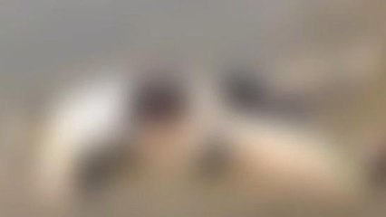 నవాబుపేట: పెద్ద చెరువులో సగం కాలిన మృతదేహం