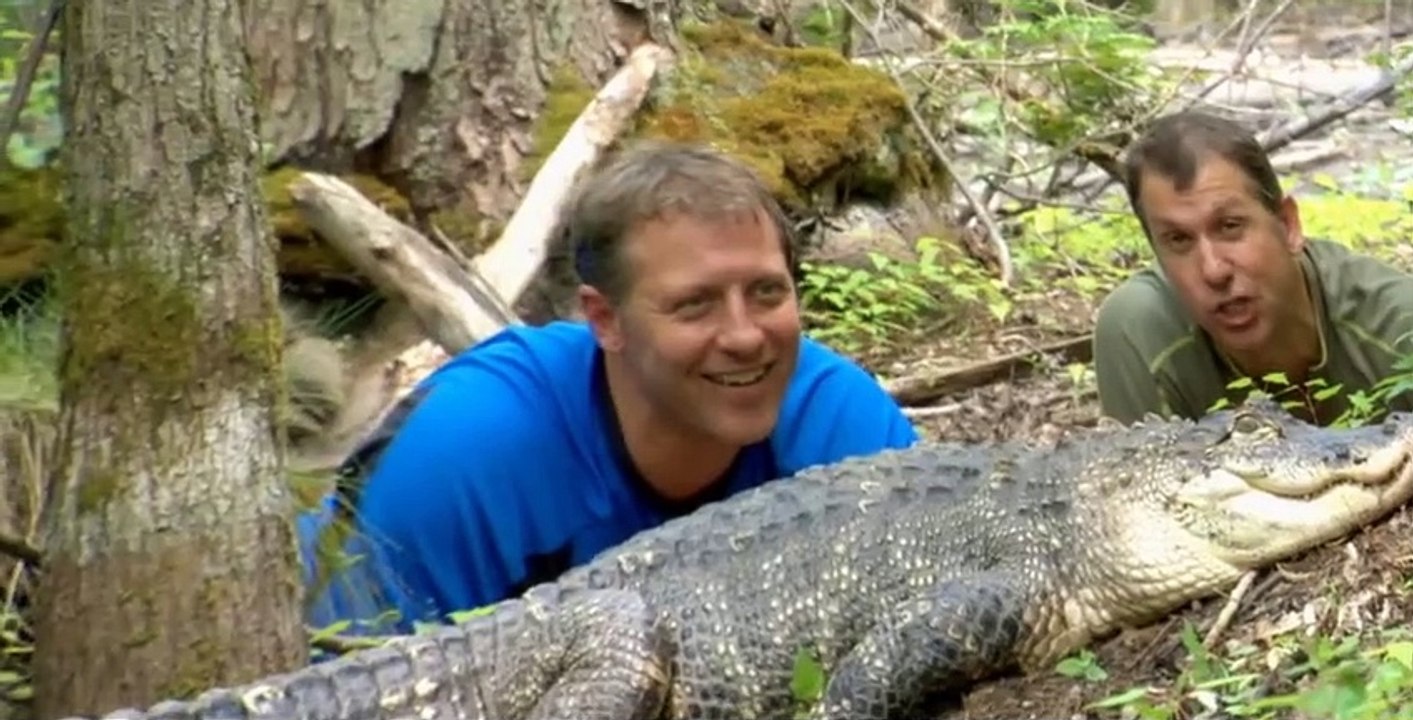 Wild Kratts S01 E01 - video Dailymotion