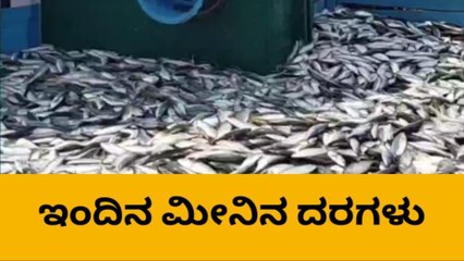 ದ.ಕ.: ಡಿ.29 ; ಹೀಗಿತ್ತು ಧಕ್ಕೆಯಲ್ಲಿ ಇಂದಿನ ಮೀನಿನ ದರಗಳು