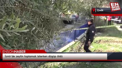 İzmir'de zeytin toplamak isterken düşüp öldü