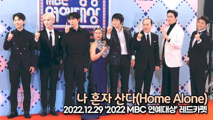 [TOP영상] 나 혼자 산다, 시상식 온 7명과 즐기러 온 1명(221229 2022 MBC 연예대상 레드카펫)