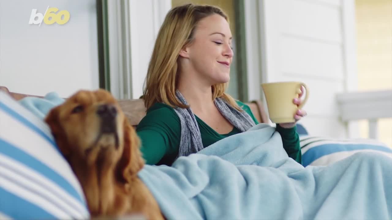 Cleaning Products That Are Safe for Pets