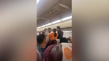 Fist fight breaks out between passengers on flight to India after heated argument