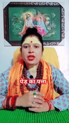 पेड़ का पत्ता #shorts #viral #dailymotionshorts