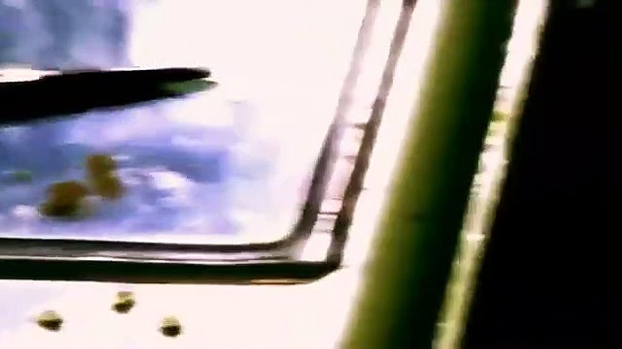 Big Cat Diary - Se1 - Ep04 HD Watch