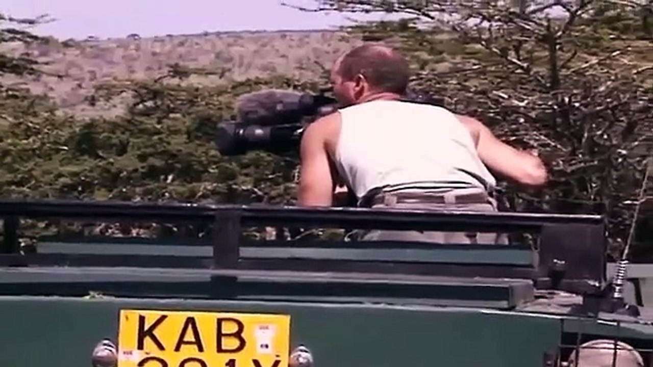 Big Cat Diary - Se1 - Ep10 HD Watch