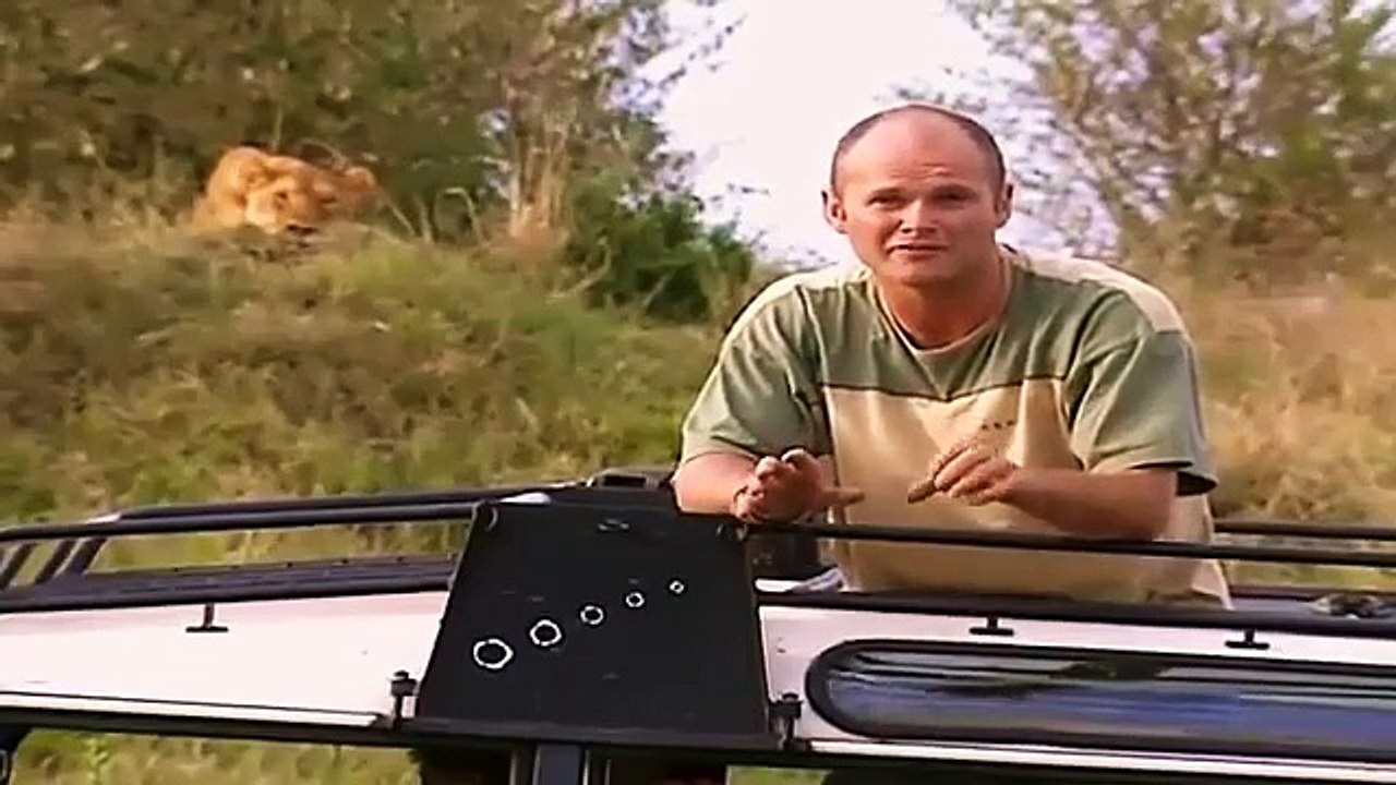 Big Cat Diary - Se2 - Ep02 HD Watch