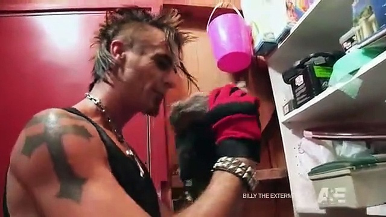 Billy the Exterminator - Se5 - Ep06 HD Watch